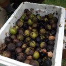 두무대쉼터 이미지