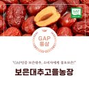 보은대추고을농장
