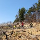 공세리농장 이미지