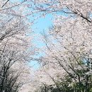 신풍사거리 이미지