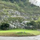 죽향컨트리클럽 이미지