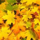 PARK 행정사사무소 이미지