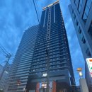 스카이플라워담배 | 일본 오사카 자유여행 숙소 APA 호텔 앤 리조트 오사카 난바 에키마에 타워점 후기