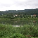 용문민박 이미지