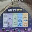 평택호길 | 2025 평택호 물빛축제 다녀온 후기! 4k 불꽃놀이 드론쇼 공유
