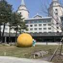 하이원 팰리스호텔 이미지