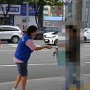 안전신문고로 안전마을 만들기 캠페인 이미지