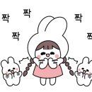 네모에이드 이미지