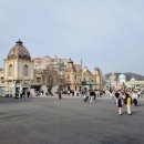 청룡카랜드 이미지