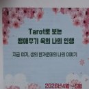 [후기]아이를 키우며 자신의 삶을 찾는 엄마들과의 타로 놀이