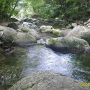 복희민박 이미지