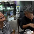 테레사 꽃집