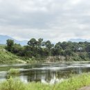 동창천체육공원 이미지