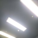 토탈맘모스엘이디