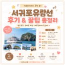 [제주투어패스 추천 #1] 서귀포유람선 후기｜범섬 절경부터 예약 꿀팁까지