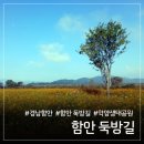 둑방공원 | 10월 지금 꼭 가야 할 함안 둑방길(악양생태공원), 핑크뮬리와 코스모스 절정 시기 후기