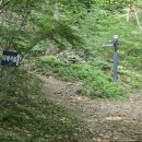 삼죽 기솔리 국사암 석조여래입상 | 6월 7일 안성일대