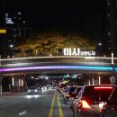 생태다리 이미지