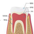 양정베스트치과의원 이미지