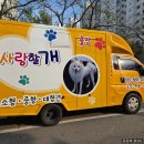 사랑할개 | [전주] 전주애견출장미용 사랑할개 방문 후기