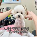 개운하개 이미지