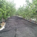 무등농원 이미지