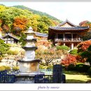 부석사 - 서산시 | 부석사