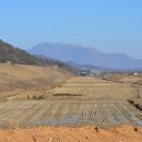 철새보는집 이미지