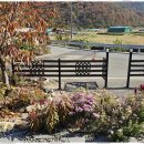 대구민박 이미지