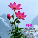 시절인연