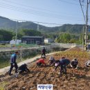 마전2통 이미지