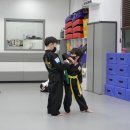 용인대 수 합기도장 이미지