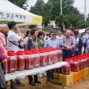 2019 문경 오미자 축제 이미지