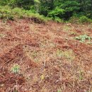 사포희망마을 이미지