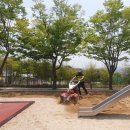 대전서부초등학교 | 모래소독 전문 업체 키제코 모래소독 39613번째 대전광역시 대전서부초등학교