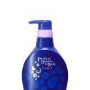 바디퍼펙트 이미지