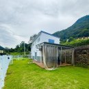 포메리카노 이미지