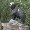 한서초교 이미지