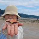 만리포 포장마차 이미지