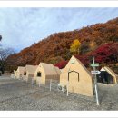치악산둘레길 10코스 아흔아홉골길 | 치악산 둘레길 10코스(11월 17일).. 아흔아홉골길(4)