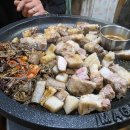 탐라메밀