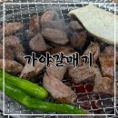 가야갈매기 | 춘천 운교동 팔호광장 인근 가야갈매기 내돈내산 솔직 후기