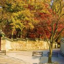 금촌전통시장 이미지