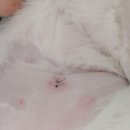 로하스동물병원 이미지