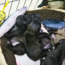 ZANYCAMP(재니캠프) 이미지