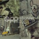 펫 온 - Pet on 이미지