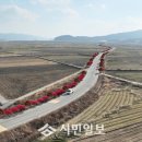 강진3호 이미지