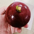 예산상회 | 충남예산맛집 찾는다면? 예산사과빵상회 솔직 후기!