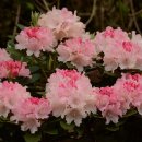 우 상인 농장 이미지