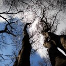 내촌초교 | 주금산_20131116-1117